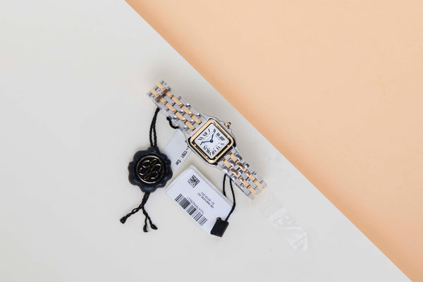 Panthère De Cartier Small 'Steel/Yellow Gold - Silver Roman Dial'