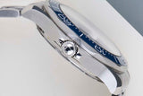 Seamaster Diver 300M 'Grey Wave Dial'