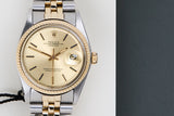 Datejust 36 'Champagne Sigma Dial - Jubilee'