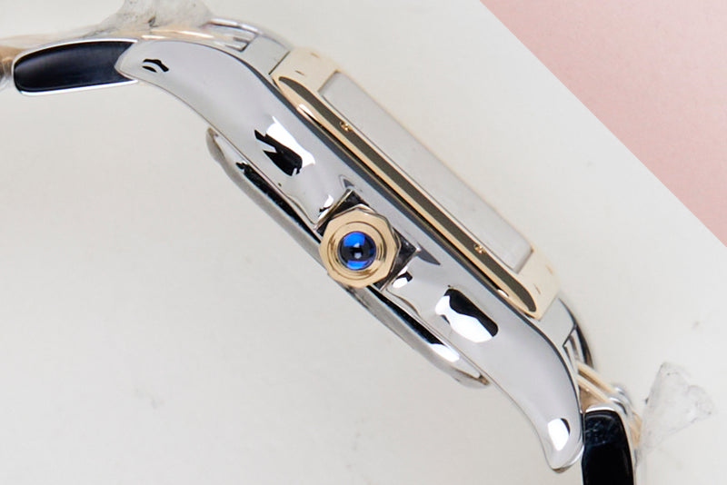 Panthère de Cartier Small 'Steel & Yellow Gold'