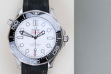 Seamaster 'White Dial - Rubber Bracelet'