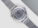 Seamaster Diver 300M 'Grey Dial'