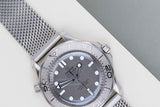 Seamaster Diver 300M 'Grey Dial'