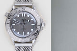 Seamaster Diver 300M 'Grey Dial'