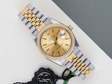 Datejust 36 'Champagne Dial - Jubilee'